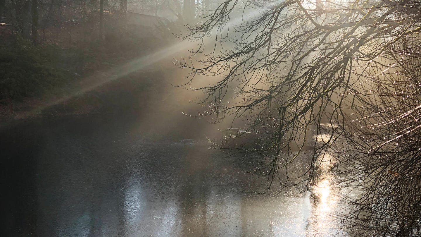 Sonnenstrahlen scheinen auf einen See: In Bonn werden zwei Gewässer renaturiert (Symbolbild).