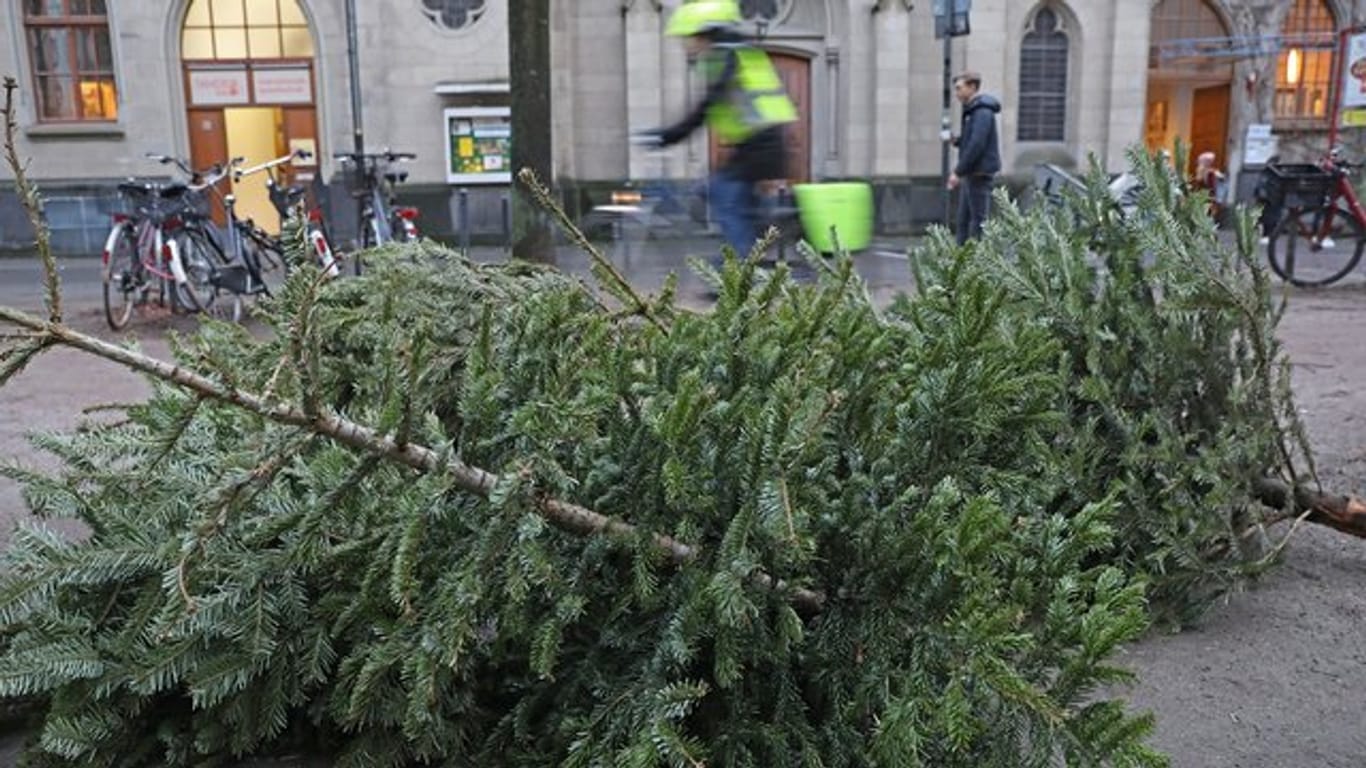 Ein Tipp für alle, die einen Weihnachtsbaum entsorgen müssen: Seine Zweige abschneiden und für die Kasten-Dekoration nutzen.