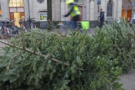 Ein Tipp für alle, die einen Weihnachtsbaum entsorgen müssen: Seine Zweige abschneiden und für die Kasten-Dekoration nutzen.