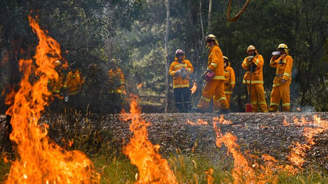 Die Buschfeuer in Australien haben nach Behördenangaben bereits mehrere Millionen Hektar Land verbrannt.