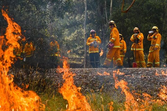 Die Buschfeuer in Australien haben nach Behördenangaben bereits mehrere Millionen Hektar Land verbrannt.