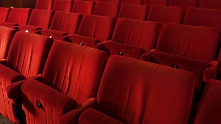 Leere Sitzreihen in einem Kinosaal: In Bochum ist ein Gast eingeschlafen – und erst morgens wieder aufgewacht. (Symbolbild)