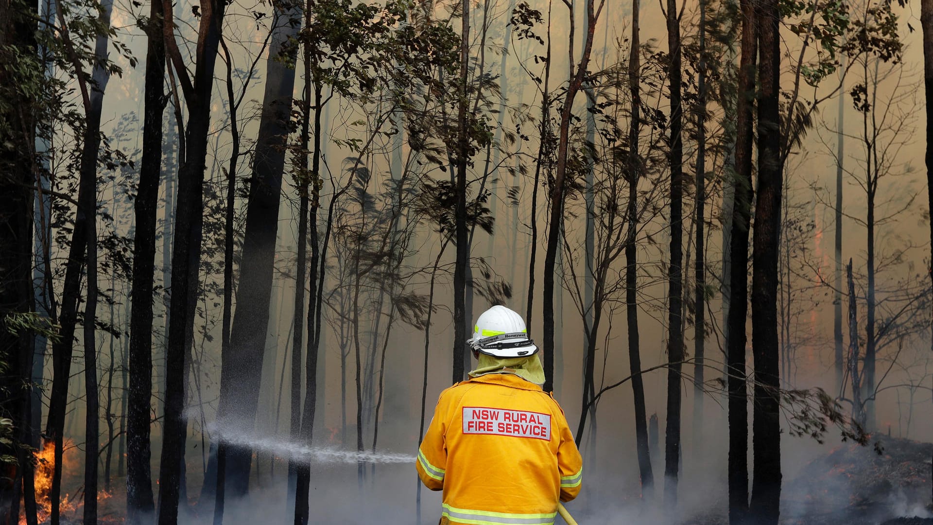 Feuerwehrleute legen zum Teil selbst kleinere Feuer und hegen sie ein, um den unkontrollierbaren Großbränden den Nachschub zu nehmen