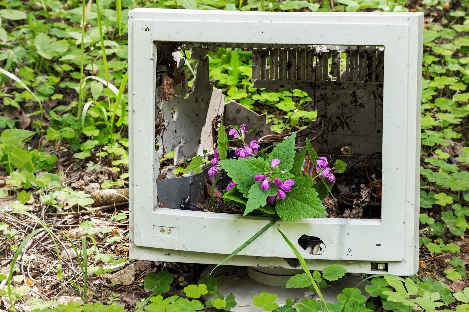 Aus einem alten Computermonitor sprießen Blumen: Nachhaltigkeit wird auch in der Elektronikbranche immer wichtiger – doch entsprechende Produkte herzustellen, ist alles andere als einfach.