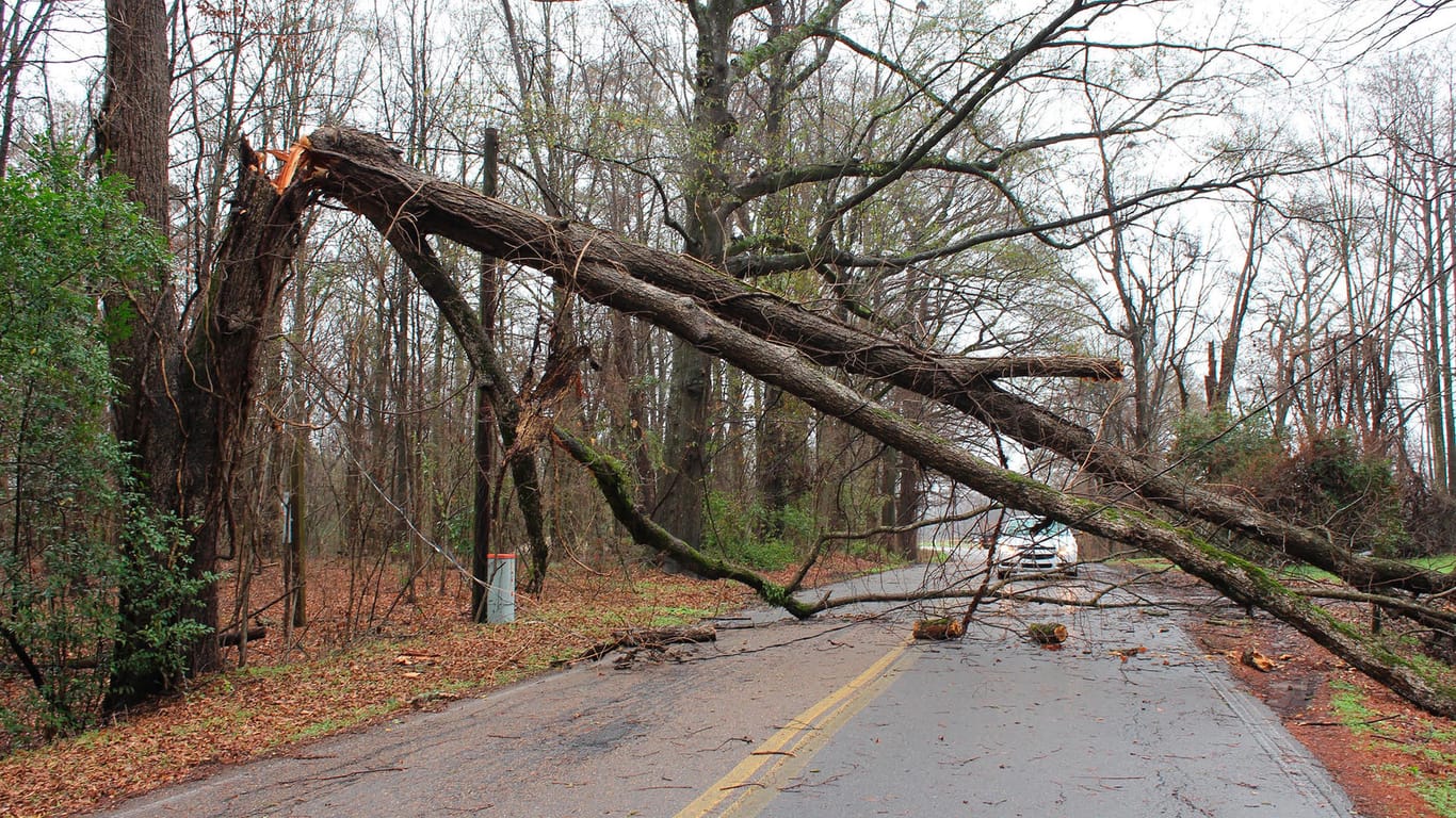 Ein umgeknickter Baum versperrt eine Straße in South Carolina, USA: In vier Bundesstaaten des Landes ist es durch den Sturm zu Todesopfern gekommen.