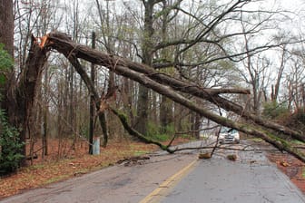 Ein umgeknickter Baum versperrt eine Straße in South Carolina, USA: In vier Bundesstaaten des Landes ist es durch den Sturm zu Todesopfern gekommen.