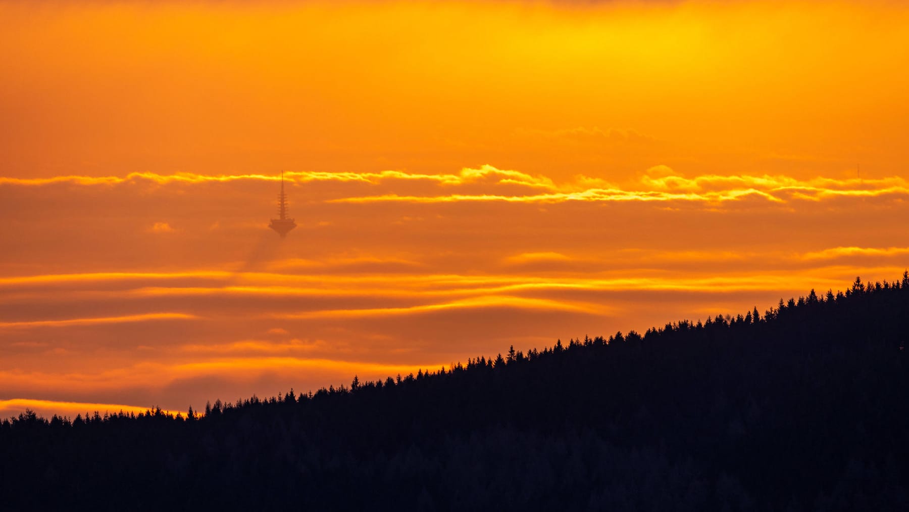 Wetter In Deutschland Bleibt Mild – Bis Zu 14 Grad In Der Woche Erwartet