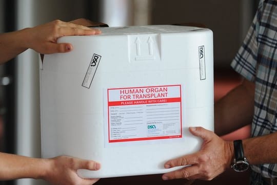 In solchen Organtransportboxen werden Organe zu Empfängern geliefert.