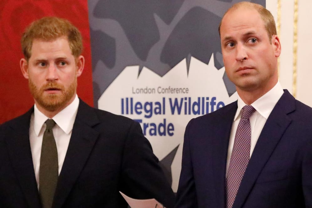Prinz Harry und Prinz William: Die beiden Brüder äußern sich nun gemeinsam zu Berichten in der britischen Presse.