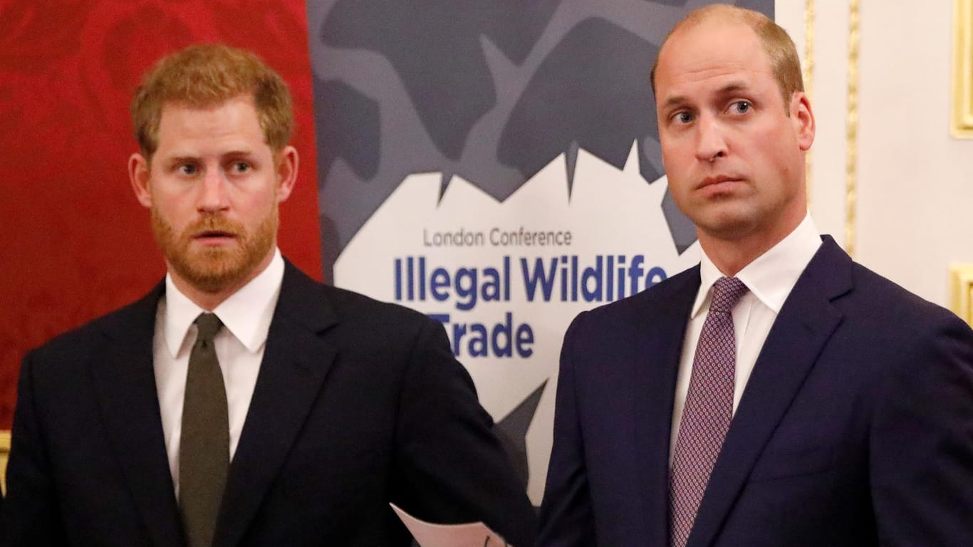 Prinz Harry und Prinz William: Die beiden Brüder äußern sich nun gemeinsam zu Berichten in der britischen Presse.