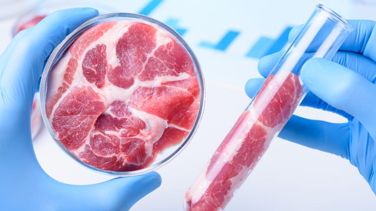 Lebensmittelfälschungen: Durch Analysen im Labor können Überwachungsbehörden den Fälschern auf die Schliche kommen.