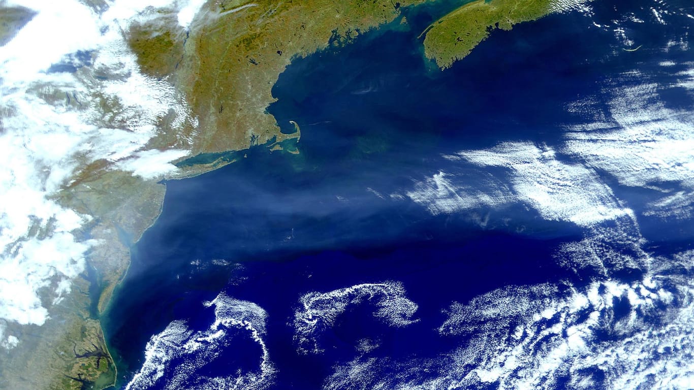 Eine Satelliten-Aufnahme des Golfstroms: Der Golfstrom ist sehr wichtig für das Klima in Europa. Ohne ihn wäre es hierzulande im Durchschnitt 10 Grad kälter.