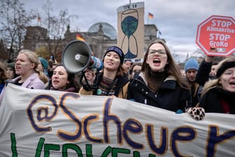 Demonstranten auf Klimademonstration in Berlin: Beim Unwort des Jahres 2019 rücken Ökologie und die Klimadebatte in den Mittelpunkt.