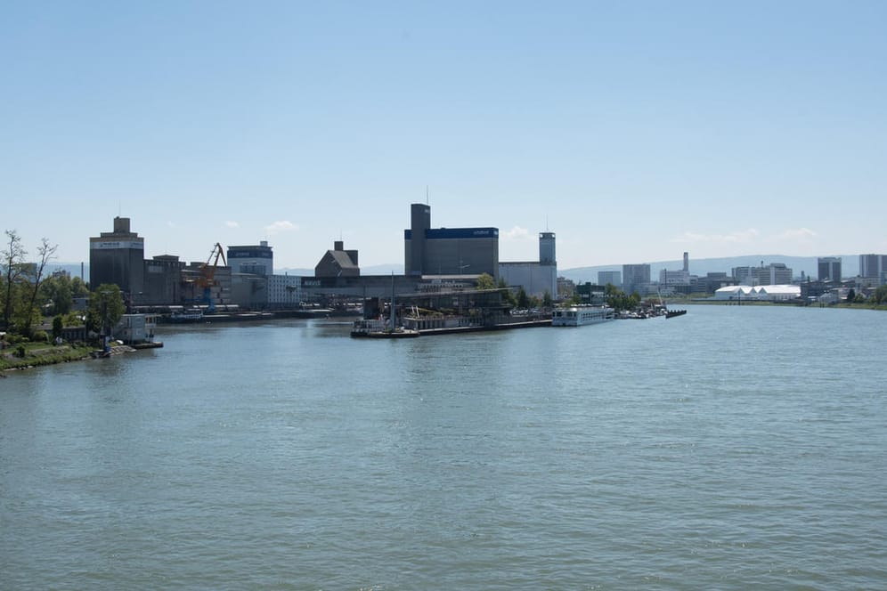 Blick auf den Rhein im Dreiländereck Schweiz, Deutschland, Frankreich: Eine Person kam bei einem Schiffsunglück ums Leben. (Archivbild)