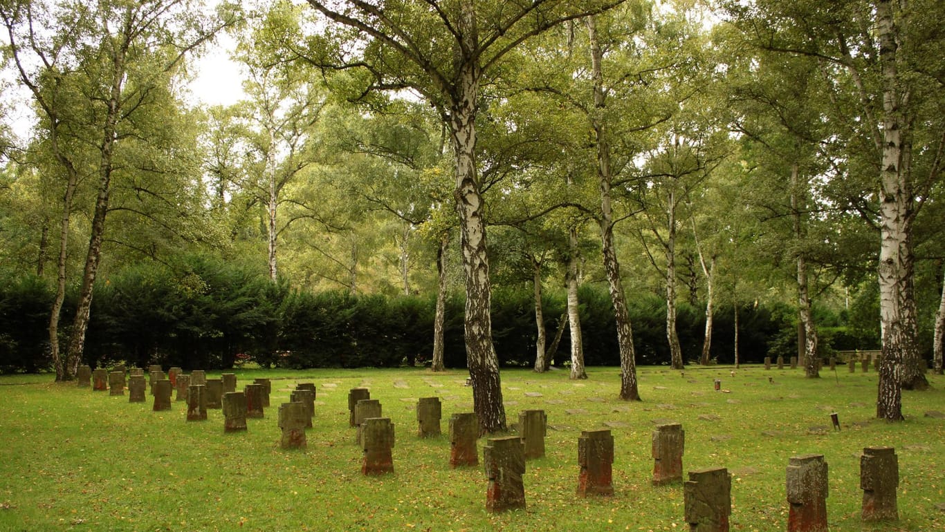 Nordfriedhof in Bonn: Rund 80 Bäume werden hier gefällt.