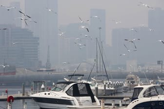 In Melbourne an der Südostküste Australiens ist die Luftqualität rekordverdächtig schlecht.