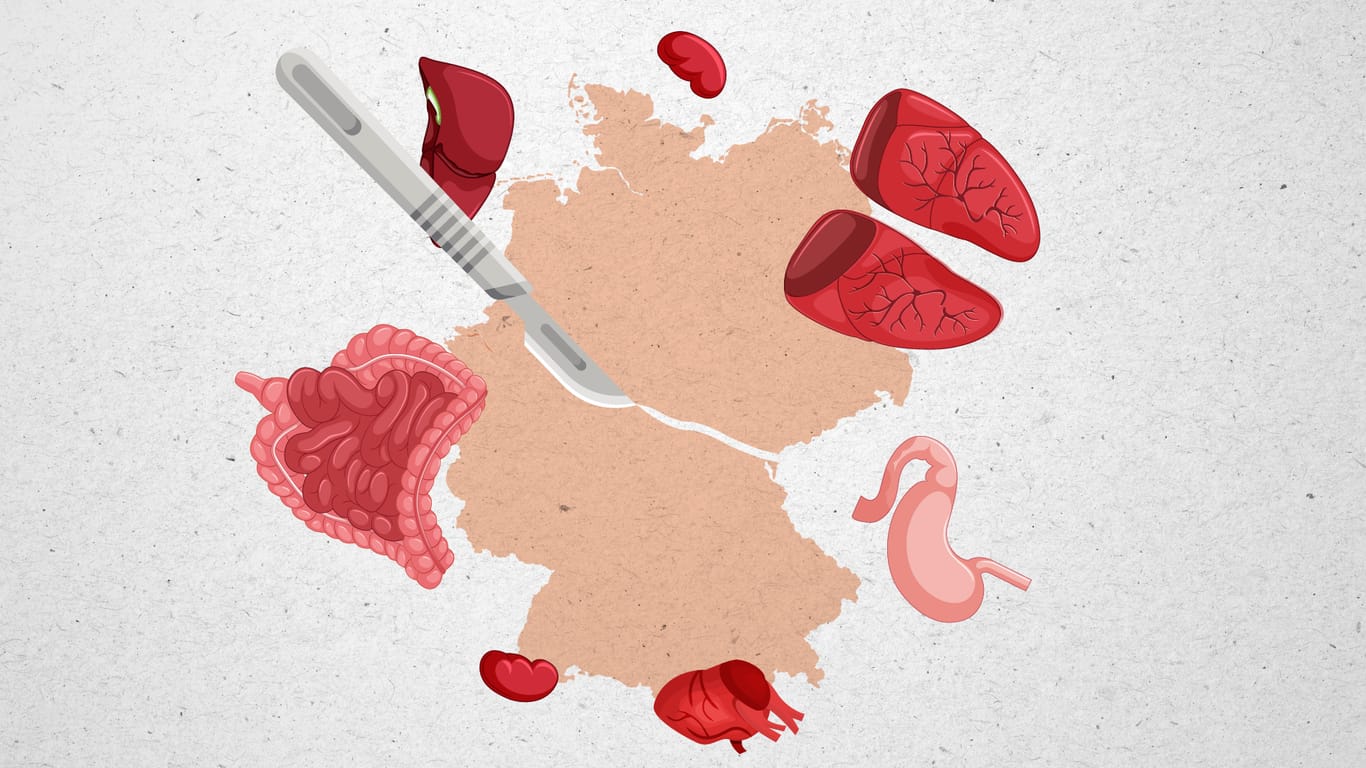 Fakten zur Organspende in Deutschland.