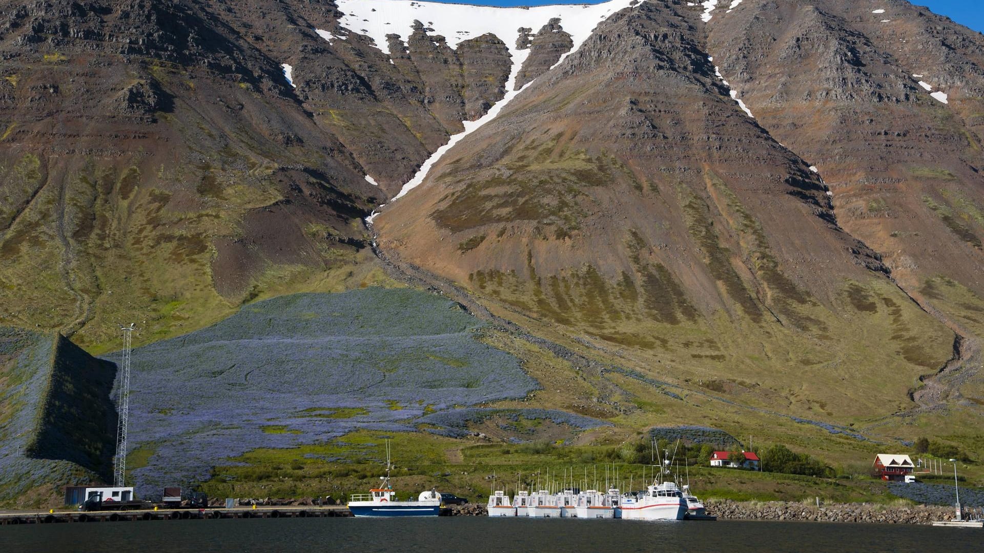 Der Ort Flateyri auf Island: Hier gingen zwei der drei Lawinen ab, der Schnee gelangte bis in die Häuser (Archivbild). Der Ort Flateyri auf Island: Hier gingen zwei der drei Lawinen ab, der Schnee gelangte bis in die Häuser (Archivbild).