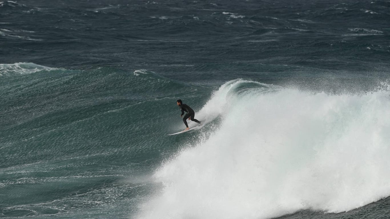 Ein Surfer in Sydney (Symbolbild): Offenbar ist es in NSW erneut zu einem Haiangriff gekommen.