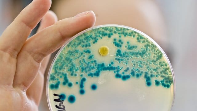 Große Pharma-Konzerne ziehen sich aus der Entwicklung neuer Antibiotika zurück. Große Pharma-Konzerne ziehen sich aus der Entwicklung neuer Antibiotika zurück.