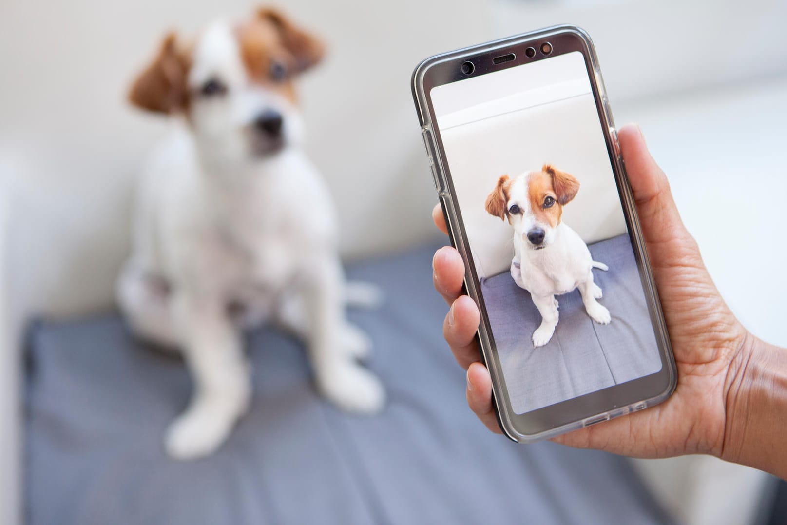 Person macht Foto mit ihrem Handy: Einige Foto-Apps sollten allerdings nicht genutzt werden