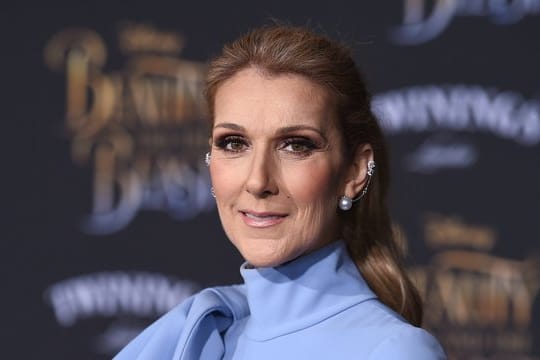 Celine Dion setzt Welt-Tournee fort.