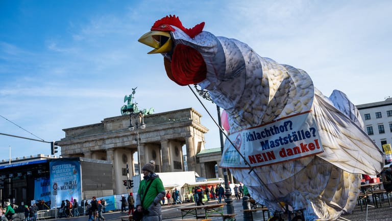 Eine übergroße Hühnerfigur steht vor dem Brandenburger Tor: Anlässlich der Agrar- und Ernährungsmesse Grüne Woche wollen Menschen in Berlin für eine umweltfreundlichere Landwirtschaft demonstrieren.