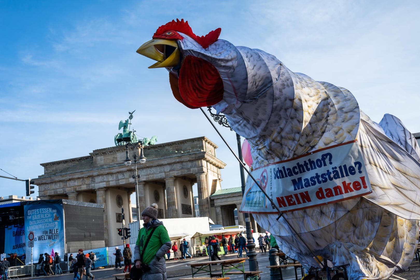 Eine übergroße Hühnerfigur steht vor dem Brandenburger Tor: Anlässlich der Agrar- und Ernährungsmesse Grüne Woche wollen Menschen in Berlin für eine umweltfreundlichere Landwirtschaft demonstrieren.