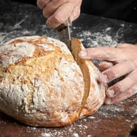 Brot wird geschnitten: Eine bestimmte Frucht nimmt Feuchtigkeit auf und gibt sie langsam ans Brot ab.