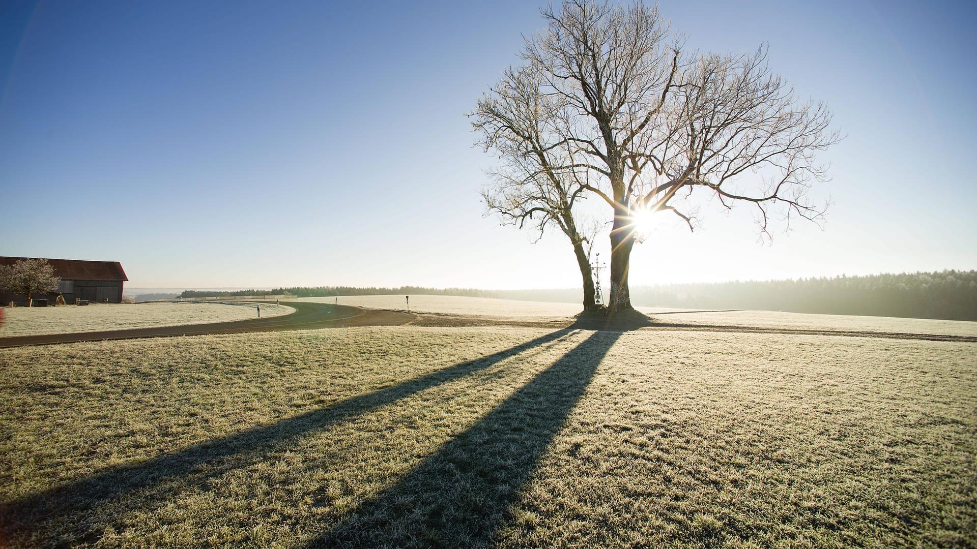 Morgensonne in Baden-Württemberg: Für die Vegetation wäre jedoch etwas Regen oder Schnee derzeit besser. Morgensonne in Baden-Württemberg: Für die Vegetation wäre jedoch etwas Regen oder Schnee derzeit besser.