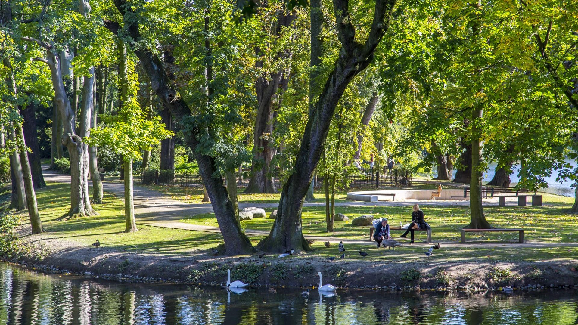 Hofgarten Düsseldorf: Die Parkanlage lädt zum Spazieren und Verweilen.