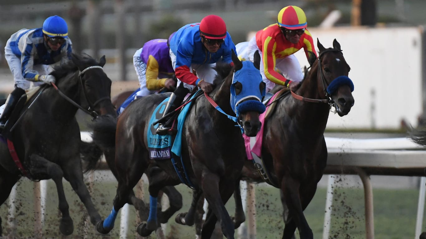 Rennpferde während des Breeders' Cup im November: Das Pferd Mongolian Groom (Mitte) musste nach dem Rennen eingeschläfert werden (Archivbild).