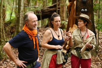 Markus, Danni und Sonja: An Tag elf kam es zum Streitgespräch zwischen den drei Dschungelcamp-Kandidaten