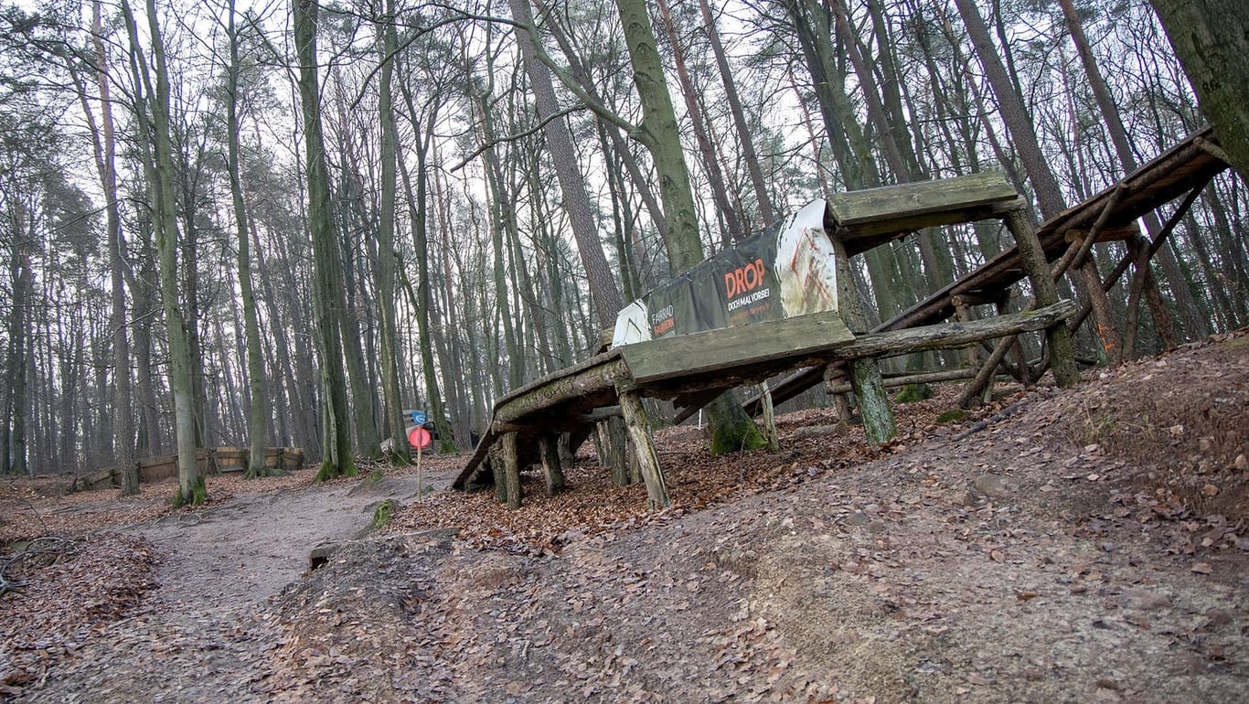 Wald bei Oberzent im Odenwaldkreis: Ein Spaziergänger hat eine Leiche entdeckt. (Symbolbild)