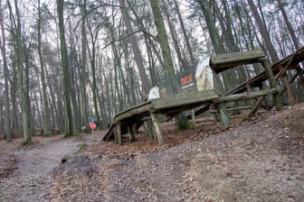Wald bei Oberzent im Odenwaldkreis: Ein Spaziergänger hat eine Leiche entdeckt. (Symbolbild)