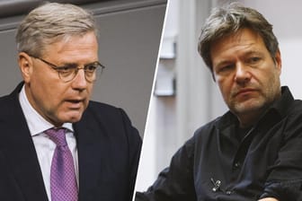 Norbert Röttgen und Robert Habeck: Der CDU-Außenpolitiker warf dem Vorsitzenden der Grünen außenpolitische Einfältigkeit vor. (Montage)