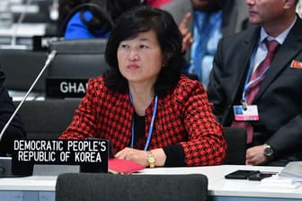 Eine nordkoreanische Delegierte beim Klimagipfel in Madrid: "Wir haben ja schließlich auch diplomatische Beziehungen mit Nordkorea."