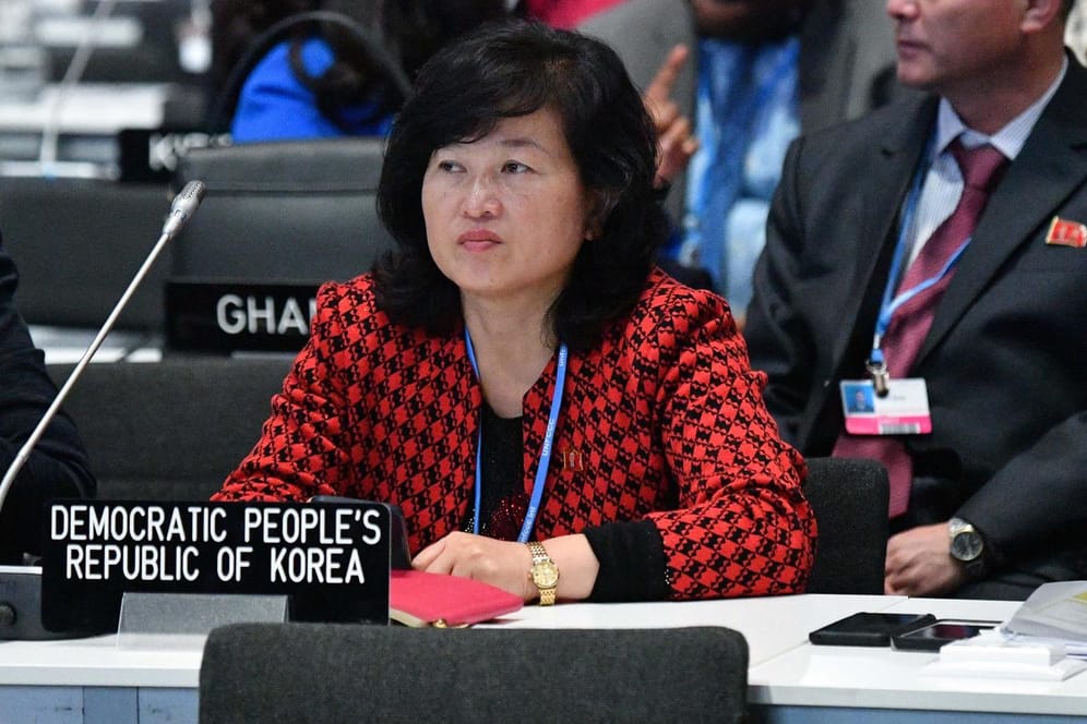 Eine nordkoreanische Delegierte beim Klimagipfel in Madrid: "Wir haben ja schließlich auch diplomatische Beziehungen mit Nordkorea."