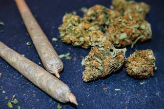 Marihuana: Die getrockneten Blüten der Cannabispflanze können als "Joint" geraucht werden.