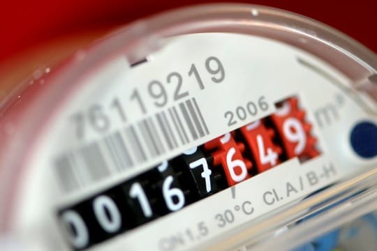 Der Umwelt zuliebe ändern Menschen in Industriestaaten ihr Verhalten besonders oft im Haushalt - etwa indem sie weniger Wasser verbrauchen.