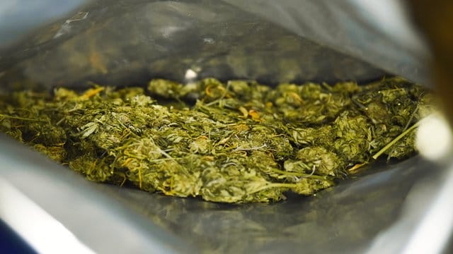 Marihuana in einer Plastiktüte (Archivbild): Gegen fünf Leute steht die Anklage wegen eines Marihuana-Versandhandels. Marihuana in einer Plastiktüte (Archivbild): Gegen fünf Leute steht die Anklage wegen eines Marihuana-Versandhandels.