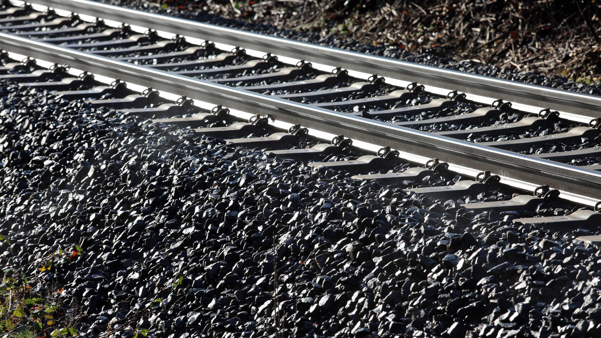 Bahnschienen: Noch ist unklar, weshalb die Waggons aus den Gleisen sprangen. (Symbolbild)