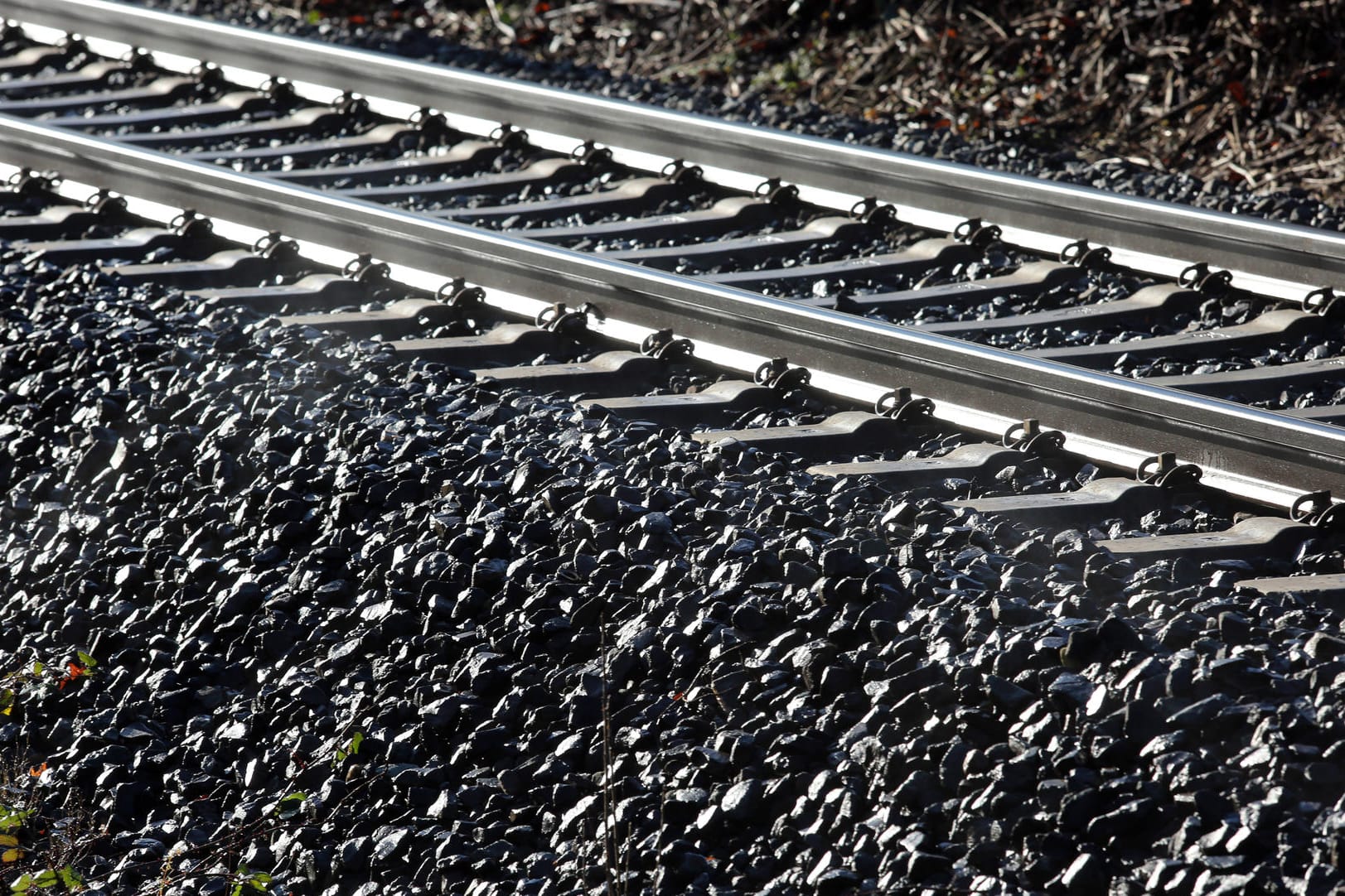 Bahnschienen: Noch ist unklar, weshalb die Waggons aus den Gleisen sprangen. (Symbolbild)