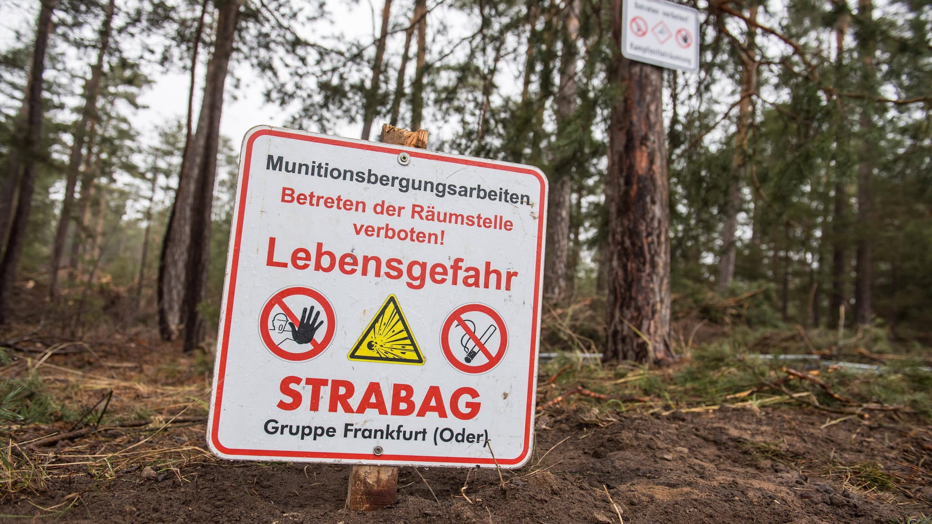 Tesla-Gelände: Rund 85 Kilo Kampfmittel in dem Waldgelände gefunden, das gerodet werden soll. Tesla-Gelände: Rund 85 Kilo Kampfmittel in dem Waldgelände gefunden, das gerodet werden soll.