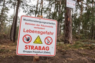 Tesla-Gelände: Rund 85 Kilo Kampfmittel in dem Waldgelände gefunden, das gerodet werden soll.