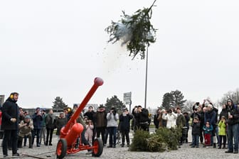 Kunstaktion in Kassel: Die Weihnachtsbaumkanone ("Kerstboomkanon") des niederländischen Künstlers Leon de Bruijne kann Tannenbäume bis zu 60 Meter weit schießen.