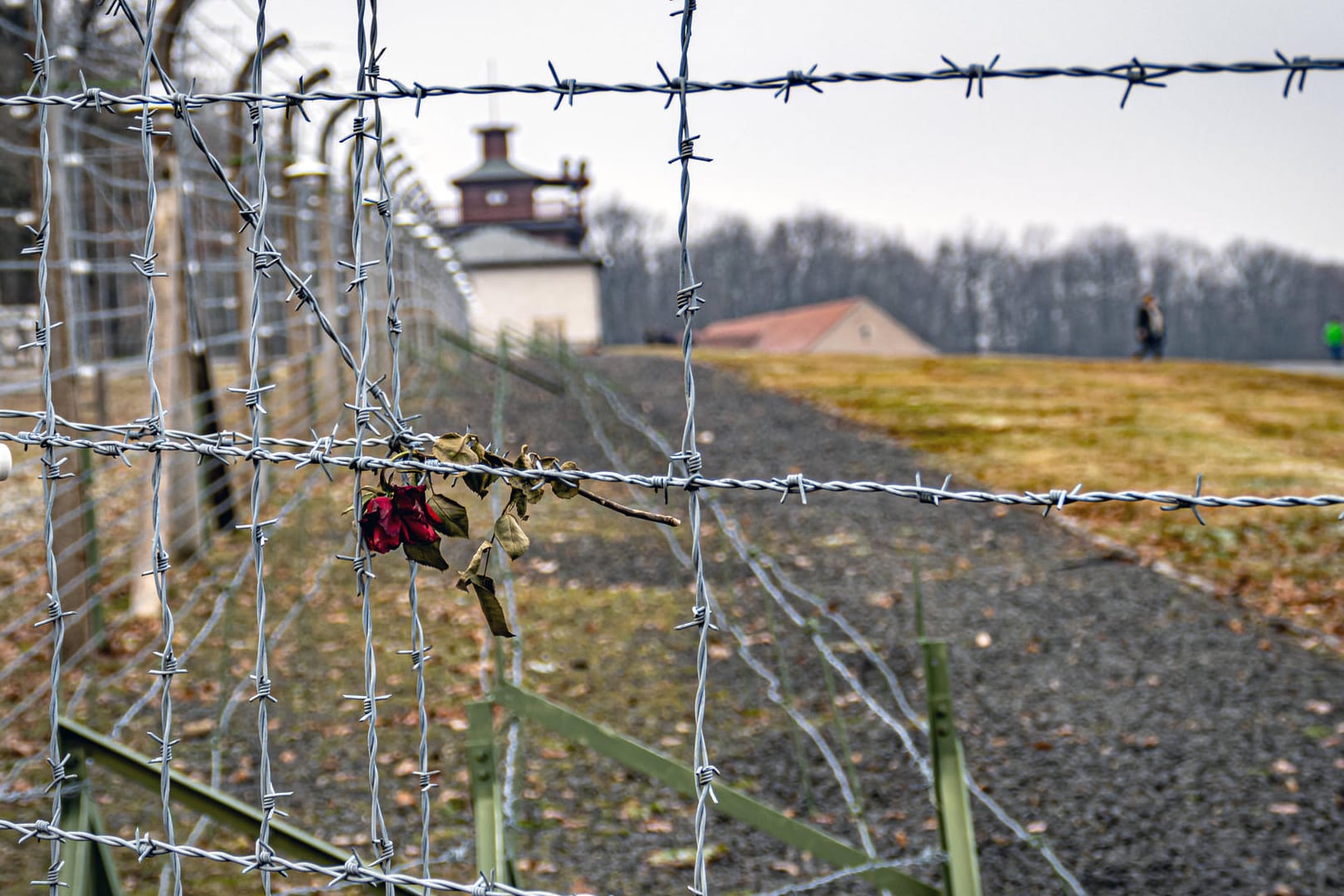 Gedenkstätte Buchenwald: Das ehemalige KZ liegt in der Nähe von Weimar in Thüringen.