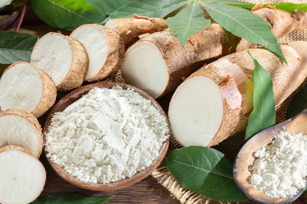 Maniok: Die Wurzel kann zu Mehl verarbeitet werden und eignet sich dann besonders gut für Allergiker.