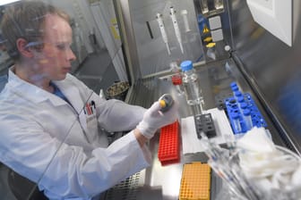 Ein Forschungslabor des Instituts für Virologie der Philipps-Universität Marburg: Auf Hochtouren wird an einem Impfstoff geforscht.