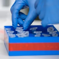 Eine Laborantin sortiert im Institut für Virologie an der Charite Berlin Mitte, in dem Untersuchungen zum Coronavirus laufen, Proben.